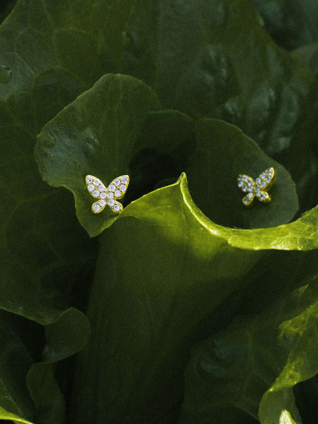 Sparkling Butterfly Ohrstecker Gold - Dorose | Wasserfester Schmuck, 18K vergoldet